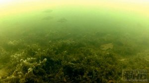 озеро ПОДСНЕЖНИКИ Смоленск ОКУНЁВЫЙ РАЙ часть 2 зима UHD(4K)