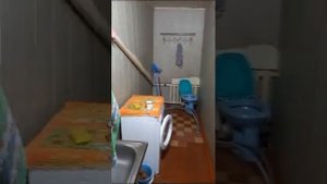 Дом в с.Усть-Козлуха Краснощековского района Алтайского края