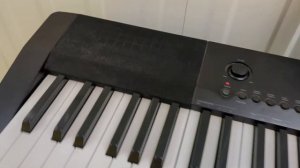 Casio CDP-120BK Digital portable piano with stand stock # 24051