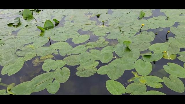 Выезд на природу Екатеринбург. Природа Урала. Село Слобода на реке Чусовой.