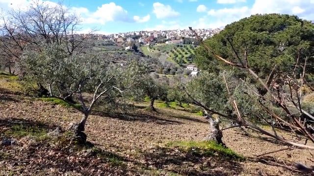 Будет ли шанс выжить у тех, кто не испил газировку. А на ком они будут отрываться ? смотреть онлайн