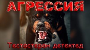 Кобелиная агрессия: у кого чего длиннее. Тестостерон детектед / Кинология / Иерархия / Зоопсихология