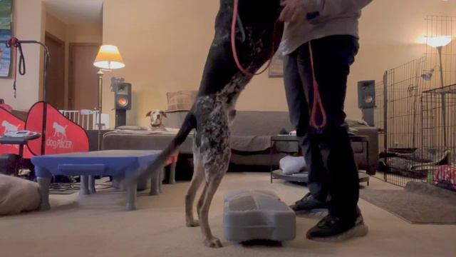 Outtake - Norbert peanut 1080 смотреть онлайн