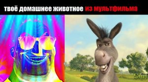 Когда твоё животное из мультфильма:  (мем мистер Исключительный)