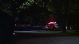 Хелоуин 5: Отмъщението на Майкъл Майърс БГ СУБТИТРИ