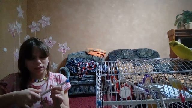 Что умеет мой попугай ? смотреть онлайн