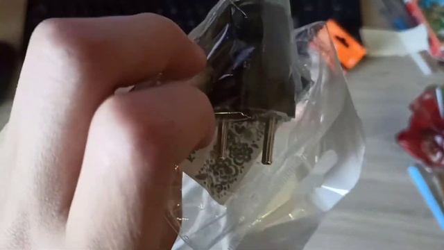 Подготовка к содержанию живородящих ящериц.
