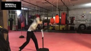 Cobra Reflex Bag от ММАтики. Проф версия для дома и зала