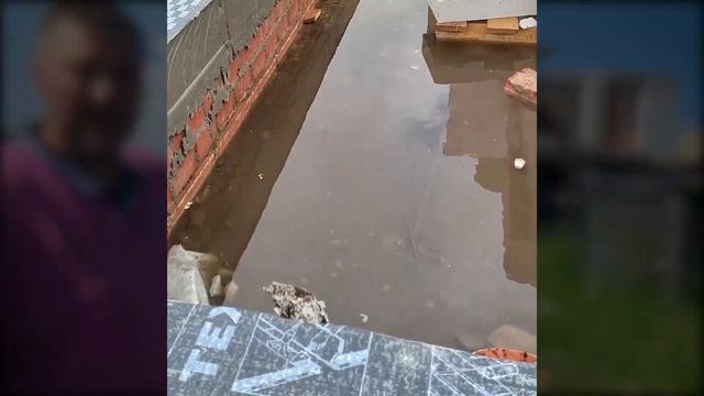 ДОМ ПОЕХАЛ! Что бывает если не сделать геологию участка при строительстве и можно ли это исправить смотреть онлайн