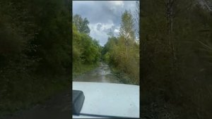 поселок Кедровый. Красноярский край Березовский район.
