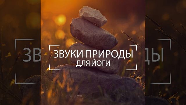 Аутогенная тренировка
