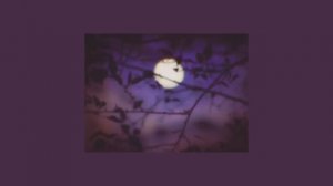 zayn ft. sia - dusk till dawn // sped up