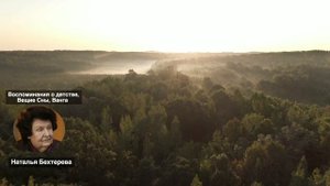 Вещие Сны и Предсказания Ванги | Наталья Бехтерева О Жизни
