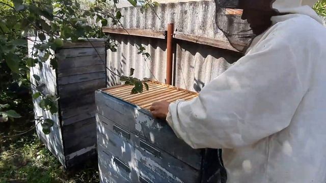 Хранение суши.