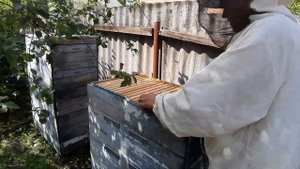 Хранение суши.