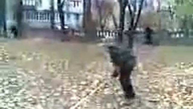 Чувак летит через грабли =) смотреть онлайн