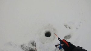 Обзор удочки Higashi iFish Salmon. Крупный окунь на зимнюю блесну Обратка