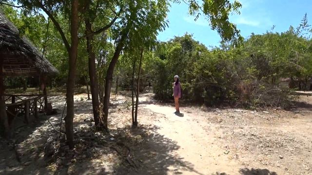 ЗАНЗИБАР НУНГВИ АКВАРИУМ ЧЕРЕПАХ БАРАКА ZANZIBAR BARAKA AQUARIUM 08 смотреть онлайн