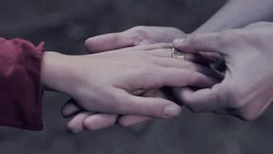 Ласточка Анна Пингина