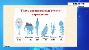 9 класс - КГ - Биология - №2 - Тиричиликтин органикалык эмес компоненттери-суу, минералдык туздар