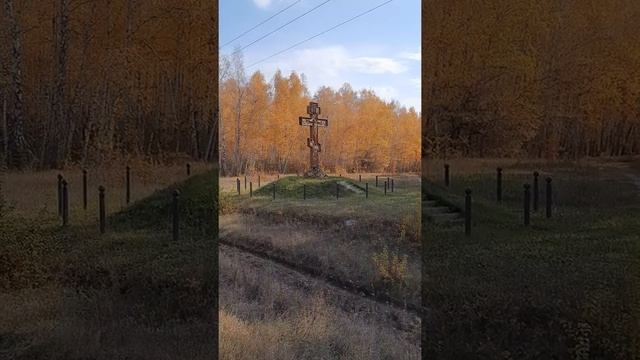 Осенний лес в поселке Базарный Карабулак Саратовская область, часть2. смотреть онлайн