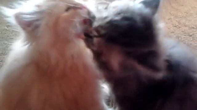 персик смотреть онлайн