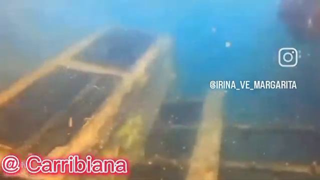 Дайвинг у берегов острова Кубагуа (Венесуэла). Погружение в морскую пучину у затонувшего корабля