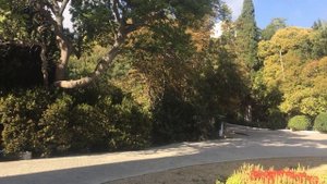 Заброшенные замки в Крыму. Дворец графини Паниной.