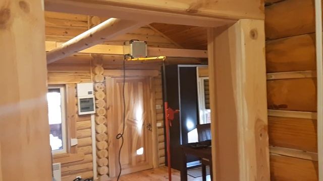 ДРЕВОТОЧЕЦ КОРОЕД против СВЧ Шашель нет! Полный обзор. смотреть онлайн