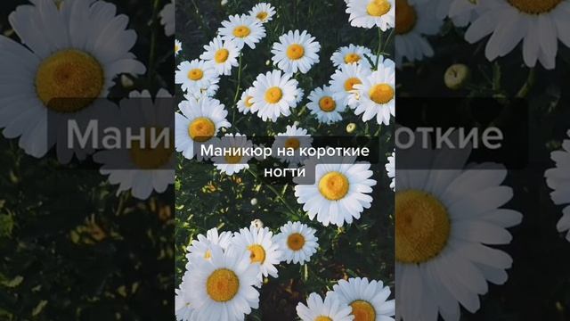 Маникюр (на короткие ногти), /маникюр/на короткие ногти/идеи/рек/