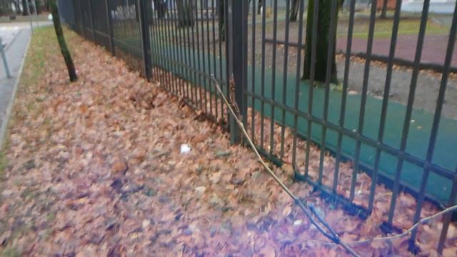 Sony wide converter x0.75 VCL-ECU1 fisheye Супер широкий угол. Из 16мм делает 12мм ? смотреть онлайн