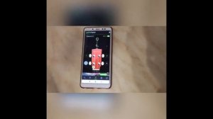 Мастер-класс "Народный строй балалайки на примере тональности ДО мажор". Седых Е.А