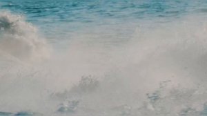 💥🦕Яких динозаврів та інших вимерлих тварин в нас відібрала росія?🦖