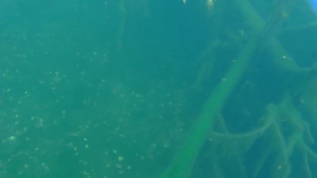 Подводная охота Усолье - Сибирское, поездка на большую Белую. 3.10.15г смотреть онлайн