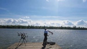 DAIWA Удилище карповое 2-х секц.Black Widow 3.50lb 3.90m