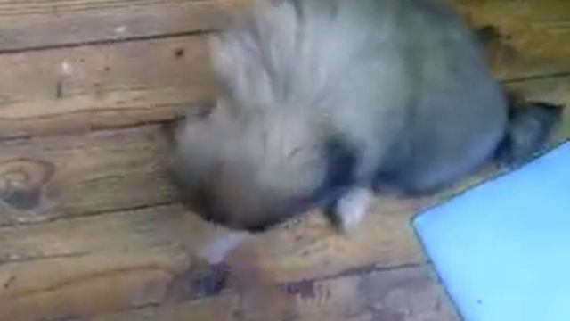 Курящий ребёнок смотреть онлайн