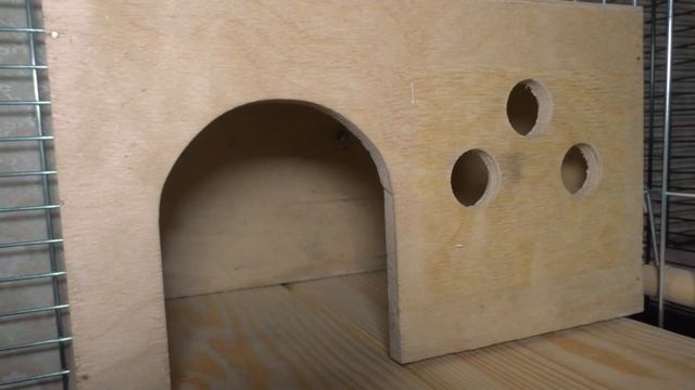 Как выбрать и как обустроить клетку для шиншиллы. Размеры клетки смотреть онлайн