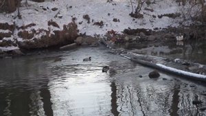 Екатеринбург.Царский мост в честь АЛЕКСАНДРА-1. видео Нусратуллина Ф.Г.