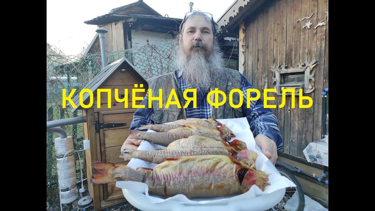 Копчёная форель.Рыба горячего копчения.