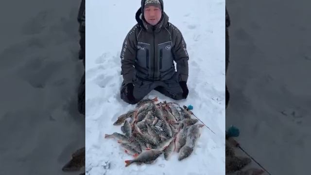 30.01.20г. Рыбалка на окуня. Клевое местечко. Камское устье.