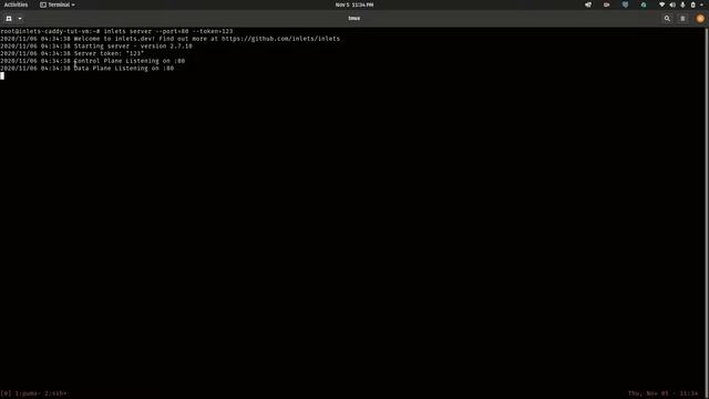 Build an ngrok alternative with Inlets and Caddy смотреть онлайн