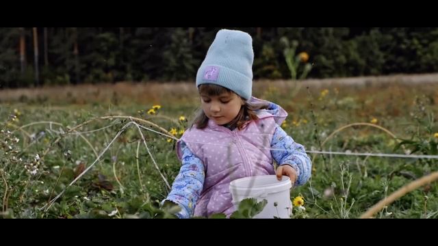 Алиса в Ягодном крае со своими Друзьями🍓🍓🍓🐈🐈🐈 смотреть онлайн