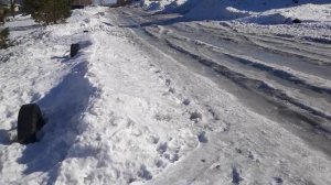 N42 Я впервые на видео. Март на дворе, рассада на окне.