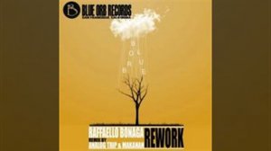 Raffaello Bonaga - Rework (Analog Trip Remix)  / Blue Orb Records ▲ Deep House Electronic Music