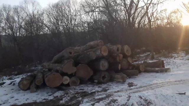 Способы заготовки дров на зиму в деревне.с.Гродеково Приморский край. смотреть онлайн
