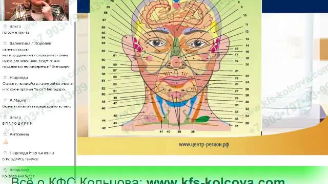 Лузгинова С.В. 2018-04-05 «Применение КФС с учетом информационных зон органов». #кфскольцова