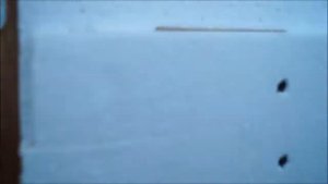 Зимние окролы в -17.