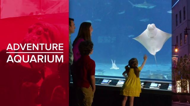 The Best Way to Visit Philadelphia City | Live in Philadelphia City смотреть онлайн