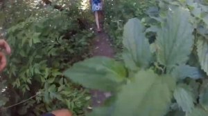 Дикий пляж близ города Уфа в запретной зоне