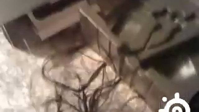 Review myESN Steelseries Siberia Full Size Headset смотреть онлайн